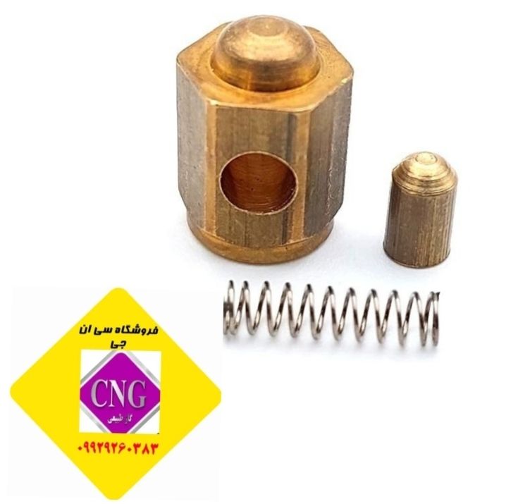 فشار شکن رگلاتورBRCنیسان و مزدا(اصل ایتالیا)