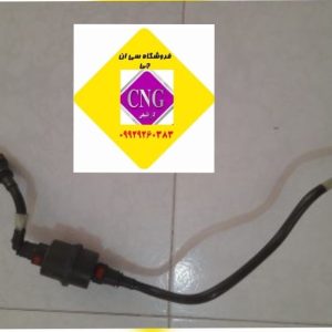 شلنگ استخوانی و صافی گاز ای اف سون