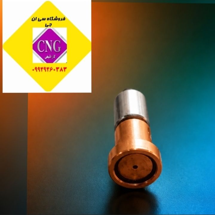 هسته گوشت کوبی رگلاتور بوش ای اف سون (ایرانی)
